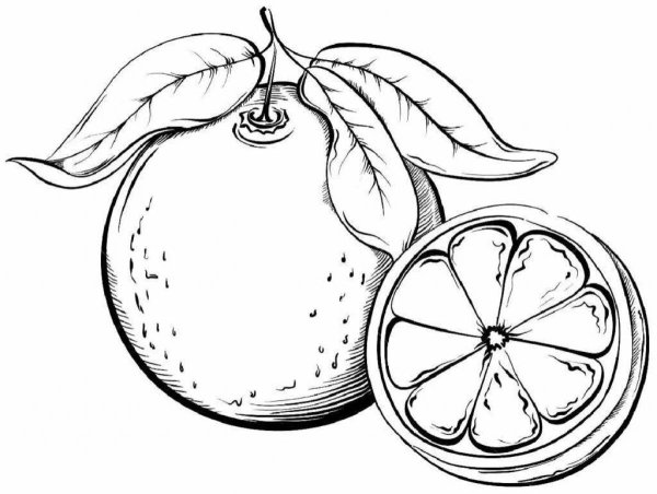 Раскраска лимон и апельсин