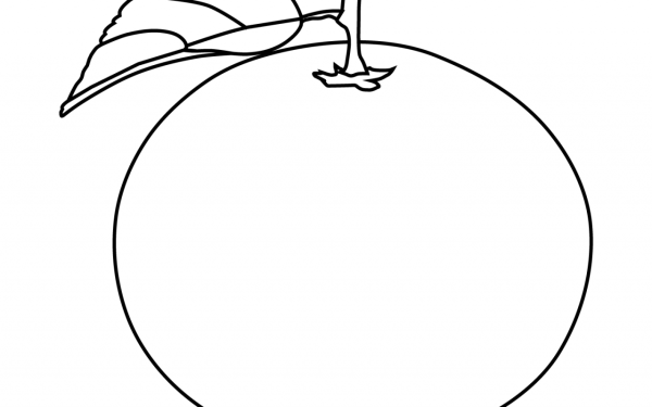 Апельсин раскраска