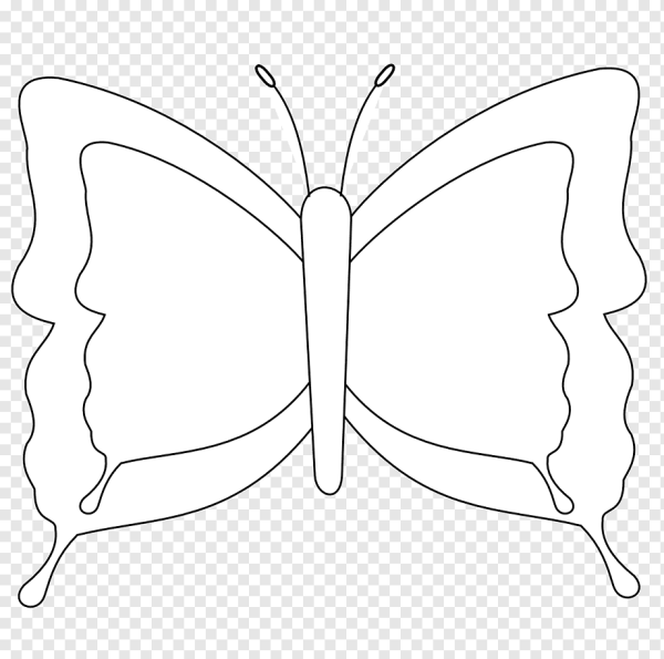 Бабочка черно белая раскраска