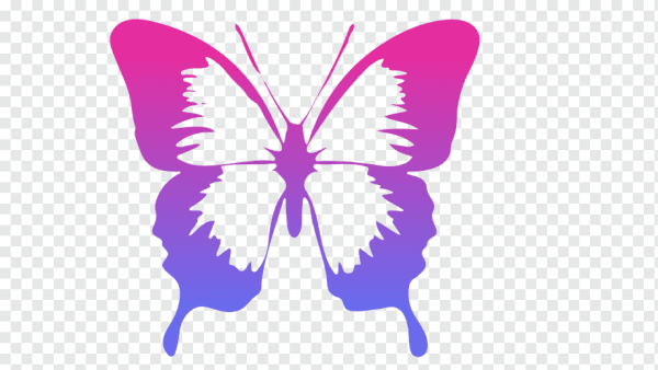 Шаблон бабочки