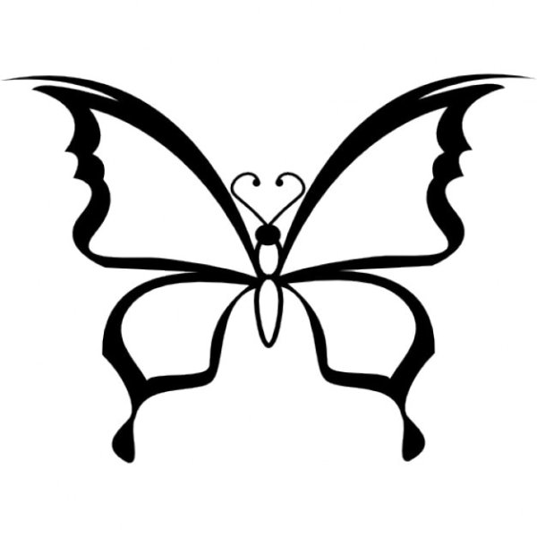 Контур бабочки на черном фоне