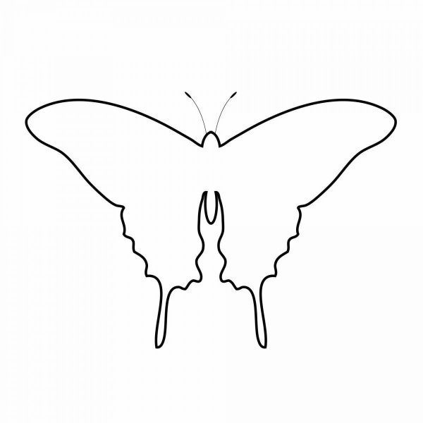 Бабочка контур для вырезания