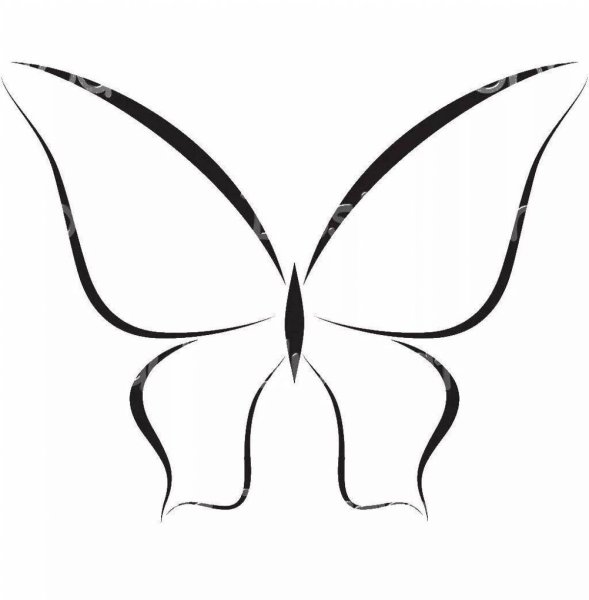 Бабочка контур силуэт для малышей