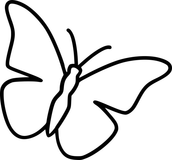 Бабочка контур