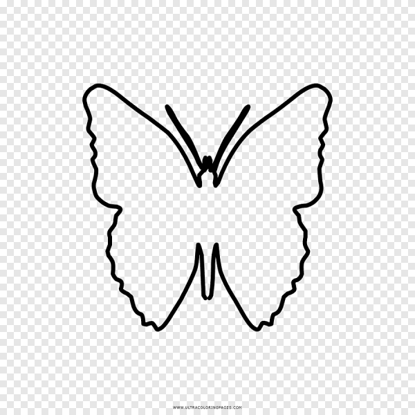 Контур бабочки на белом фоне