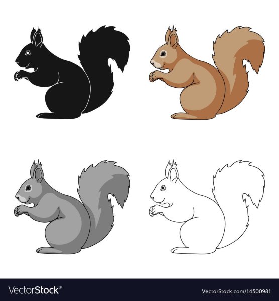 Белка вектор контур