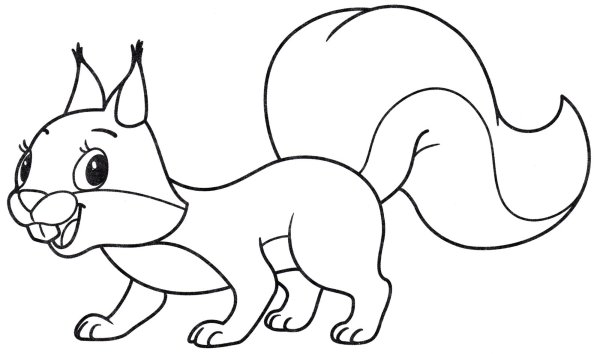 Белка раскраска для детей