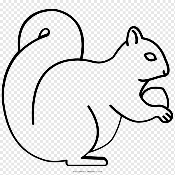 Контур белки