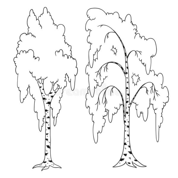 Береза раскраска для детей