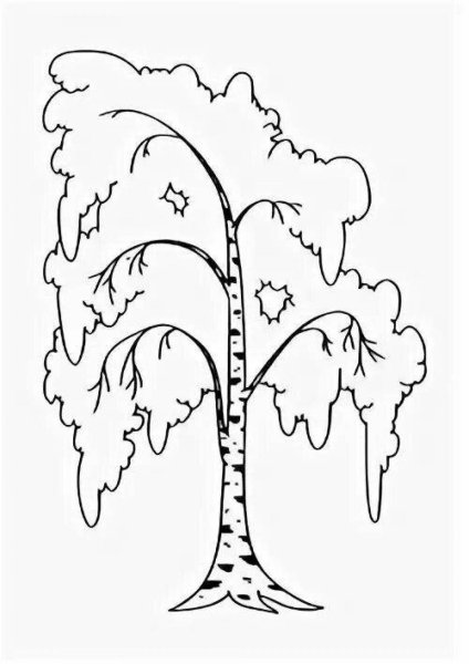 Береза раскраска