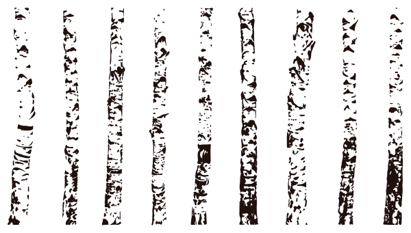 Ствол березы вектор