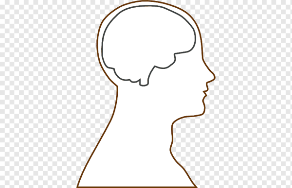 Очертание головы человека