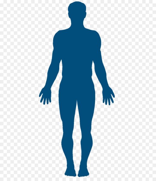 Очертание человека