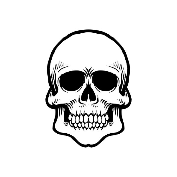 Череп вектор