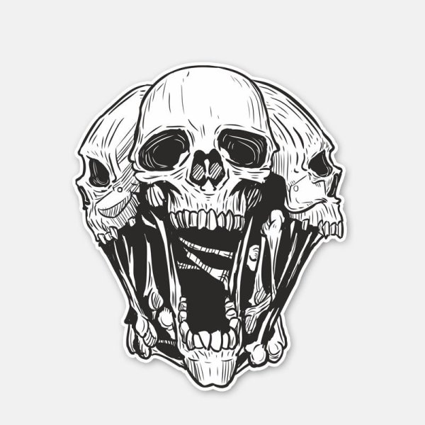 Череп вектор