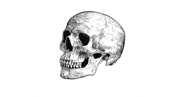 Череп на прозрачном фоне