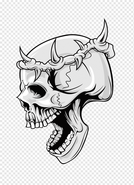 Рисунки черепов