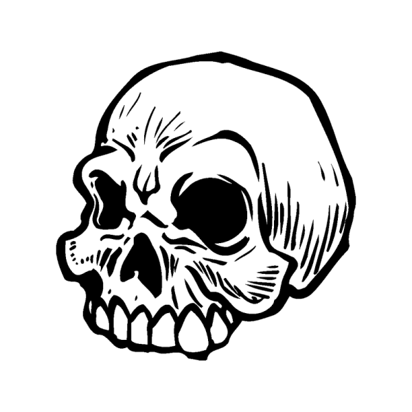 Череп черно белый