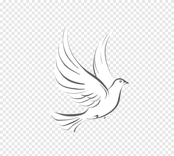 Голубка Графика