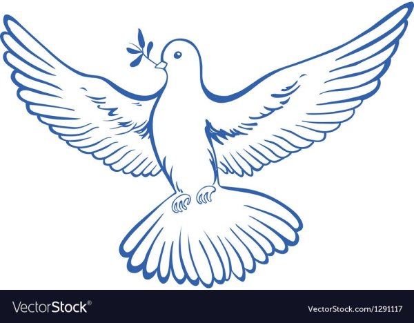 Голуби печать