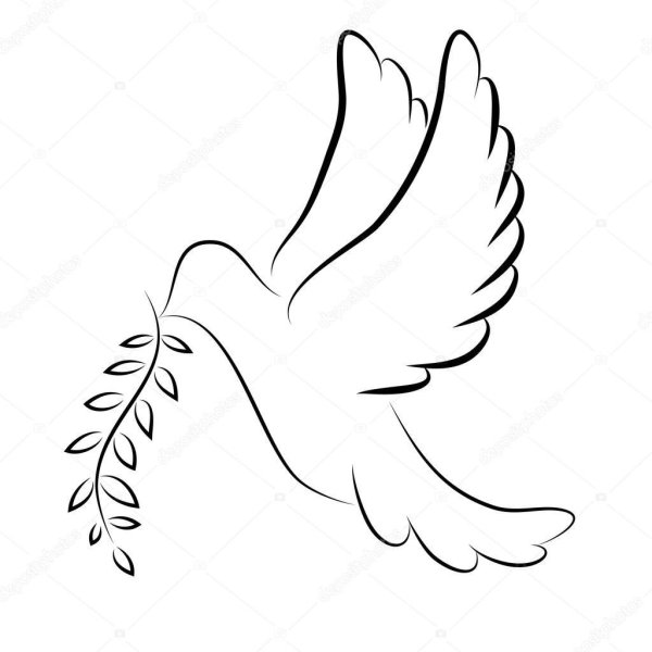 Голубь мира с веточкой