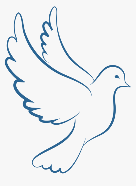 Голубь рисунок