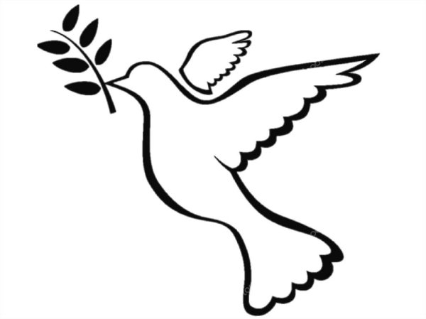 Голубь с веточкой в клюве символ