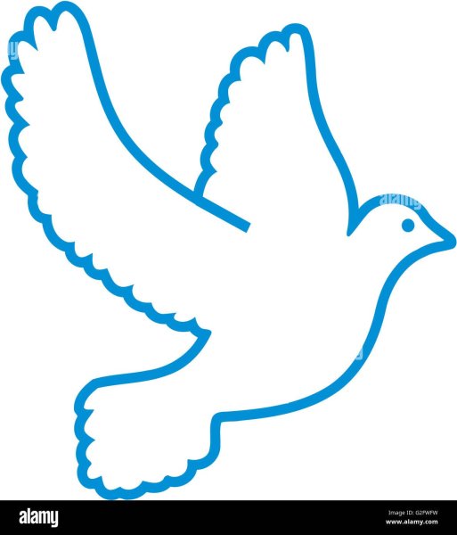 Белый голубь контур