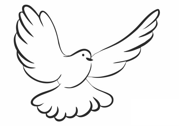 Трафарет голубя
