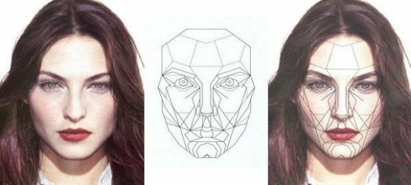 Идеальное сечение лица