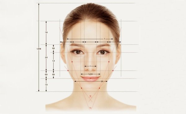 Идеальные пропорции лица