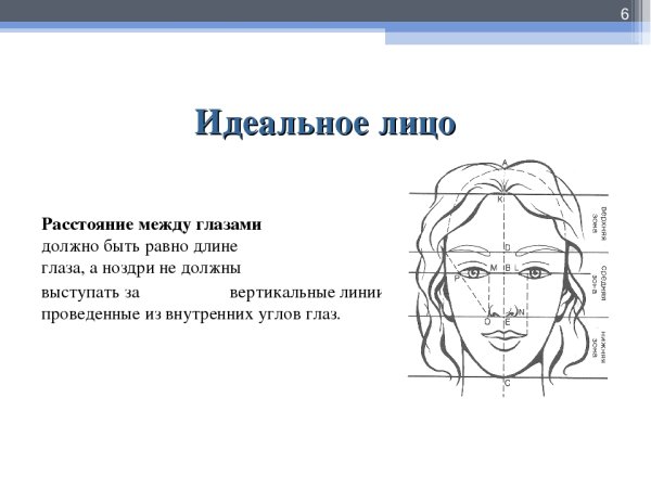 Идеальные пропорции лица