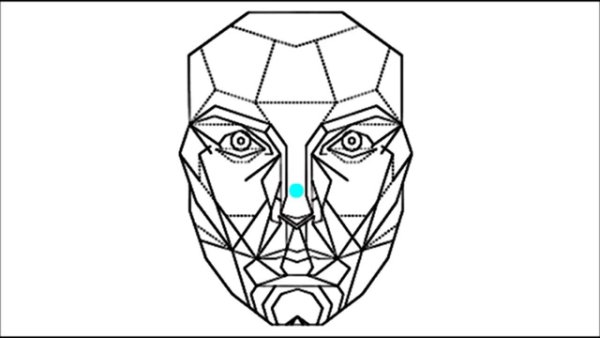 Макет идеального лица