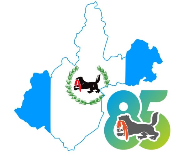 85 Лет Иркутской области логотип