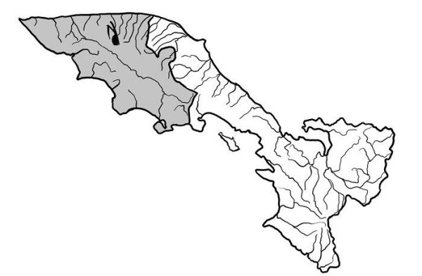 Полуостров Камчатка карта вектор