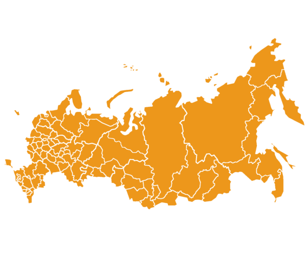 Карта России вектор