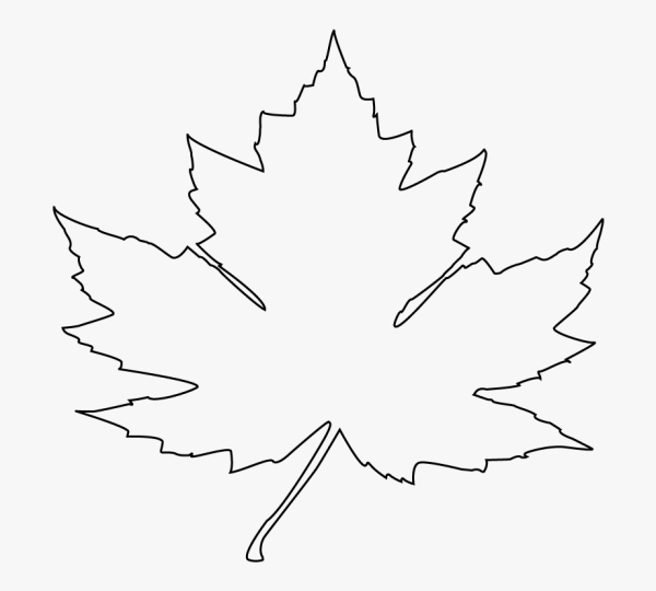 Лист клена контур