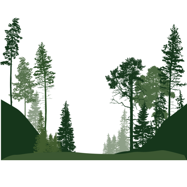 Очертания леса