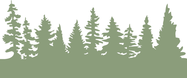 Контур леса без фона