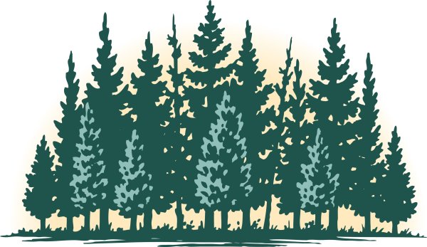 Сосновый лес вектор