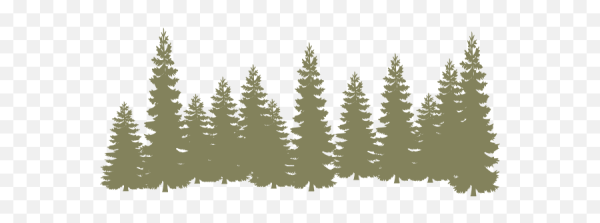 Еловый лес на прозрачном фоне