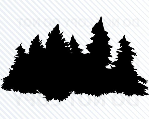 Силуэты елей