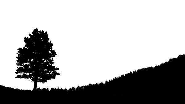 Силуэты гор деревьев