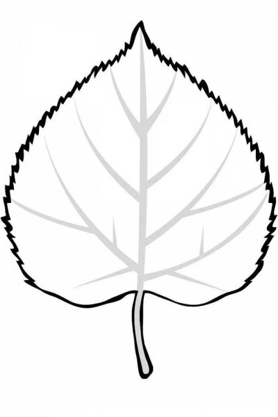 Листья раскраска для детей