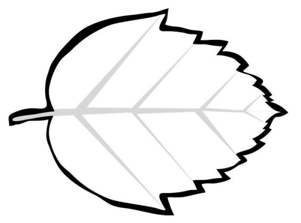 Листья контур