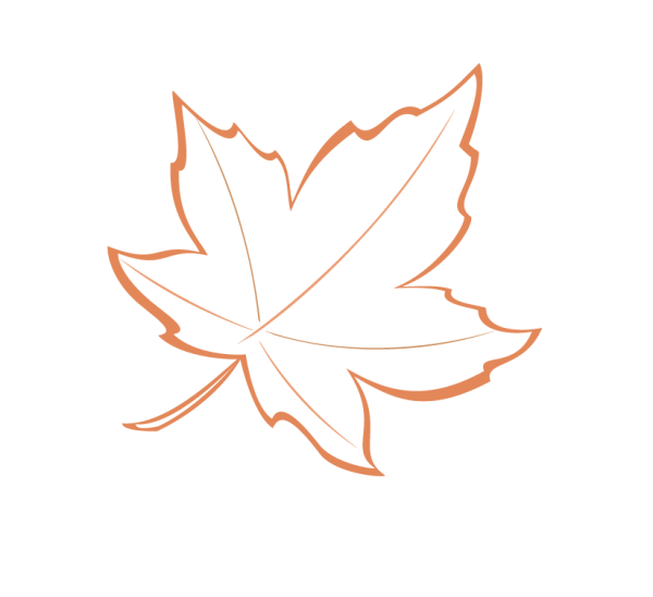 Кленовый лист контур