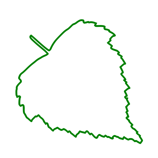 Березовый лист контур