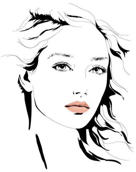 Очертания лица