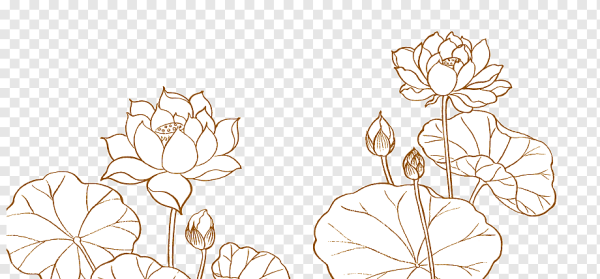 Золотистые контуры цветов