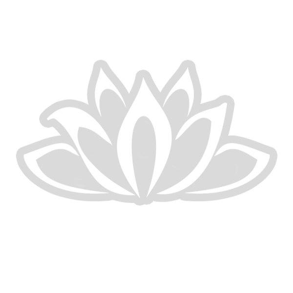 Белый Лотос логотип